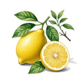 Limón