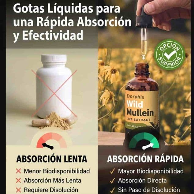 Nuevo Gordolobo -Apoyo Pulmonar🍃🍂