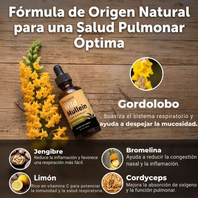 Nuevo Gordolobo -Apoyo Pulmonar🍃🍂