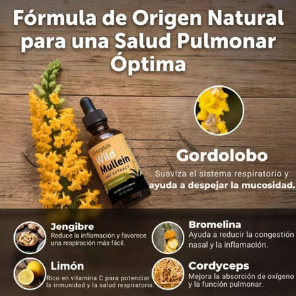 Nuevo Gordolobo -Apoyo Pulmonar🍃🍂